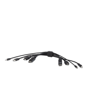 TAA DUAL (1) HDMI-HDMI (1) DP-DP/USB/AU CBL